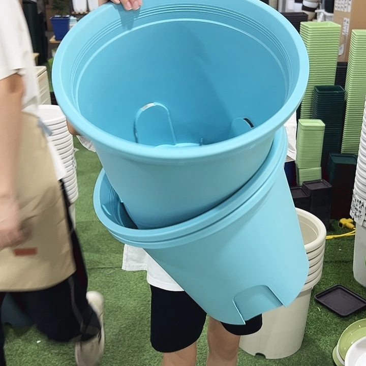 正品圆形控根口37.5高34蓝色无托3只