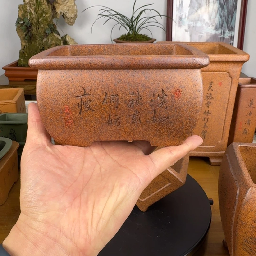 紫砂花盆浩**茶紫砂花盆