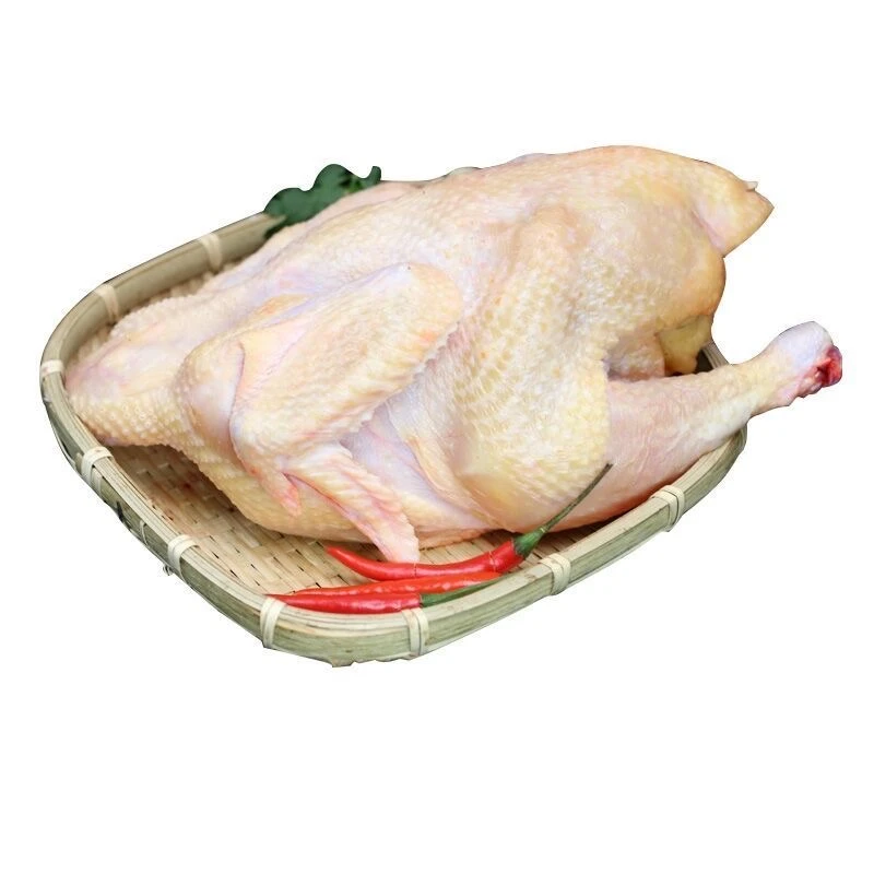 冰鲜 新鲜现杀童子鸡散养童子鸡 800g/只*3只 顺丰冷链