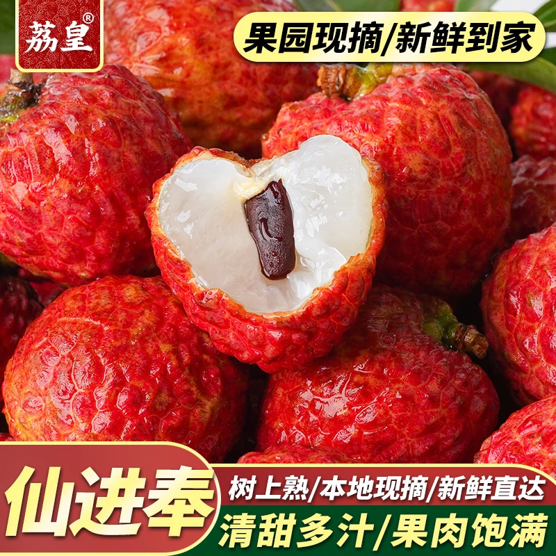 【荔皇】仙进奉荔枝3.0斤礼盒果园新鲜水果顺丰