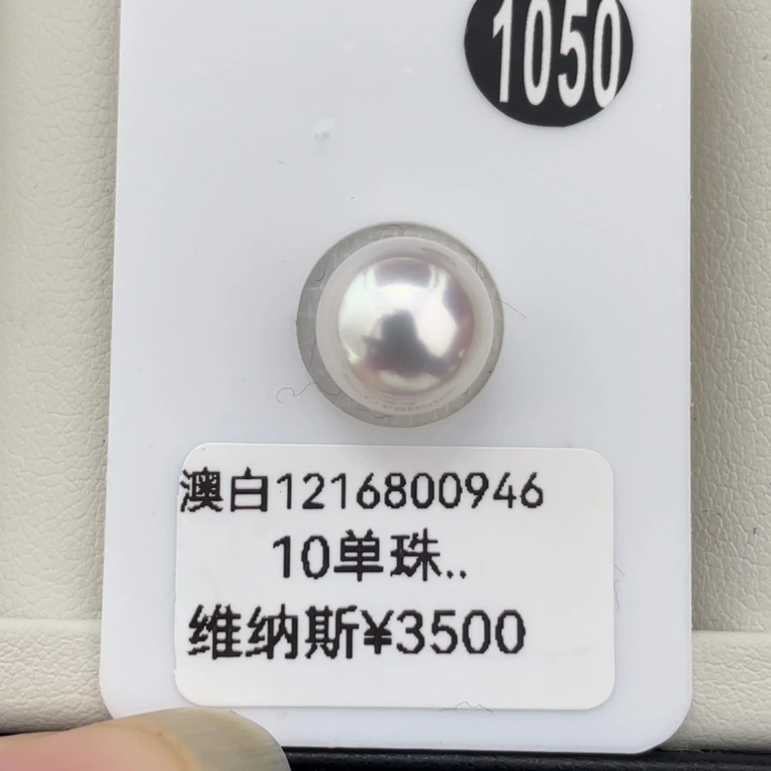 定制海水珍珠未镶嵌吊坠(不含链)五星维纳斯澳白无暇