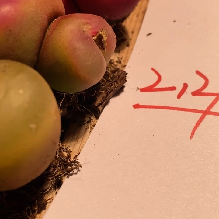 我****望21271一组一组一组