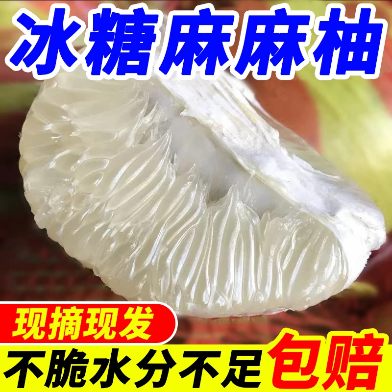 正宗湖南芷江冰糖麻麻柚当季新鲜水果柚子现摘产地直发一整箱包邮
