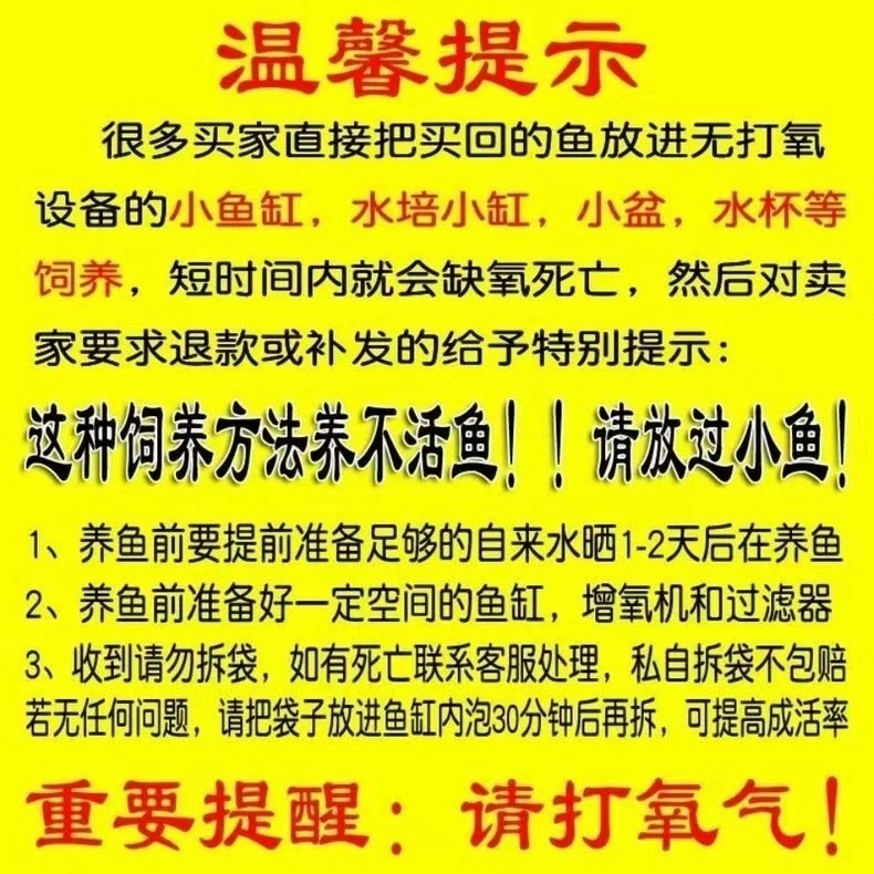 1-100号蝴蝶鲤锦鲤草金包邮包开箱 ！（收到务必拍开箱视频）