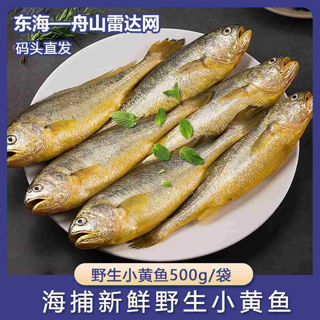 【24小时发货】【舟山直发】正宗舟山野生小黄鱼新鲜冷冻无冰衣