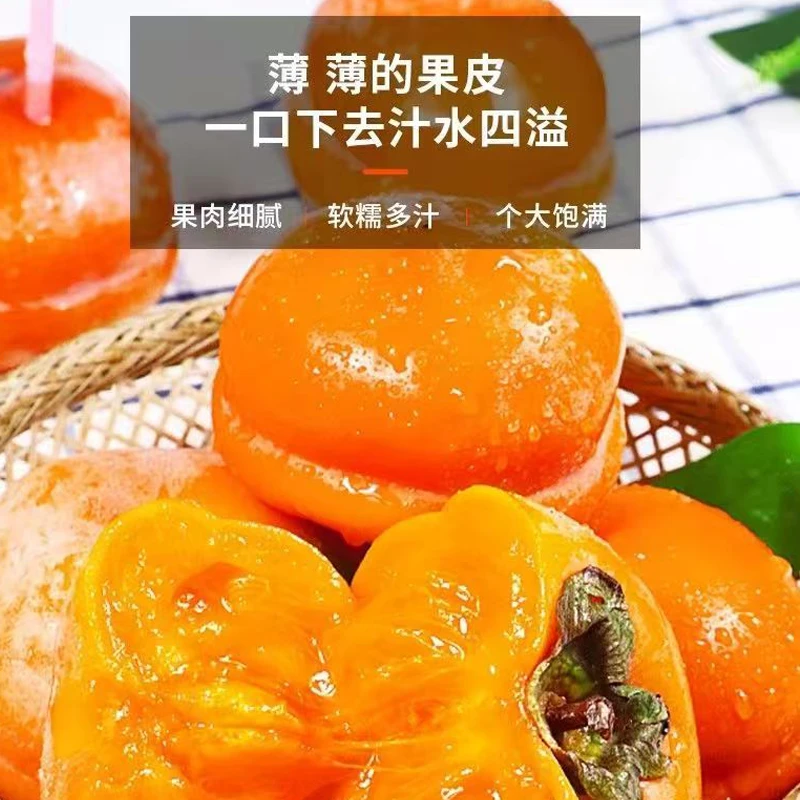 村支书推荐正宗磨盘柿子新鲜水果放软爆汁当季柿子未脱涩柿饼子