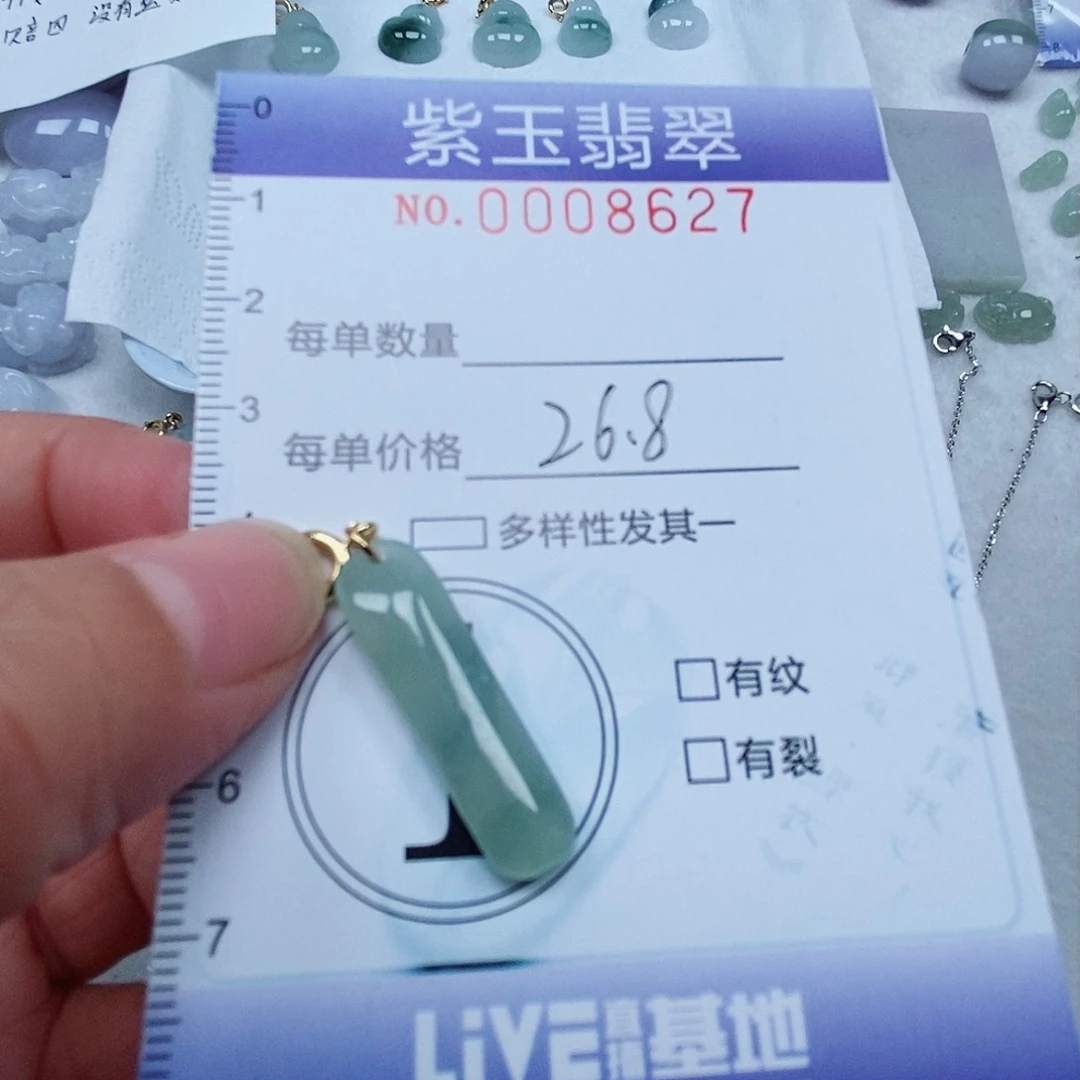 颈饰未镶嵌翡翠冰胶随行