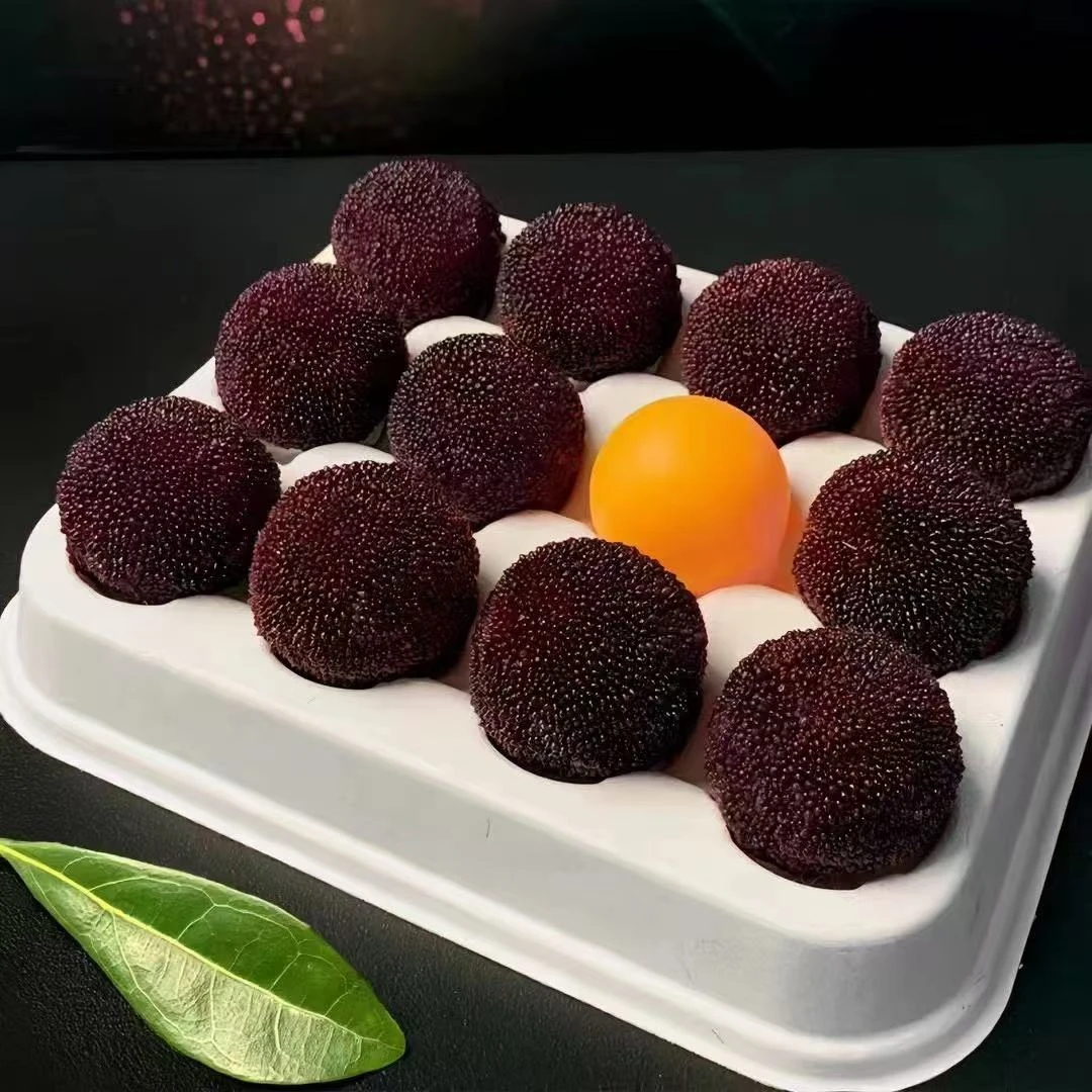 11A【果王东魁】仙居东魁杨梅新鲜采摘现发冷链坏果包赔酸甜杨梅浙江省