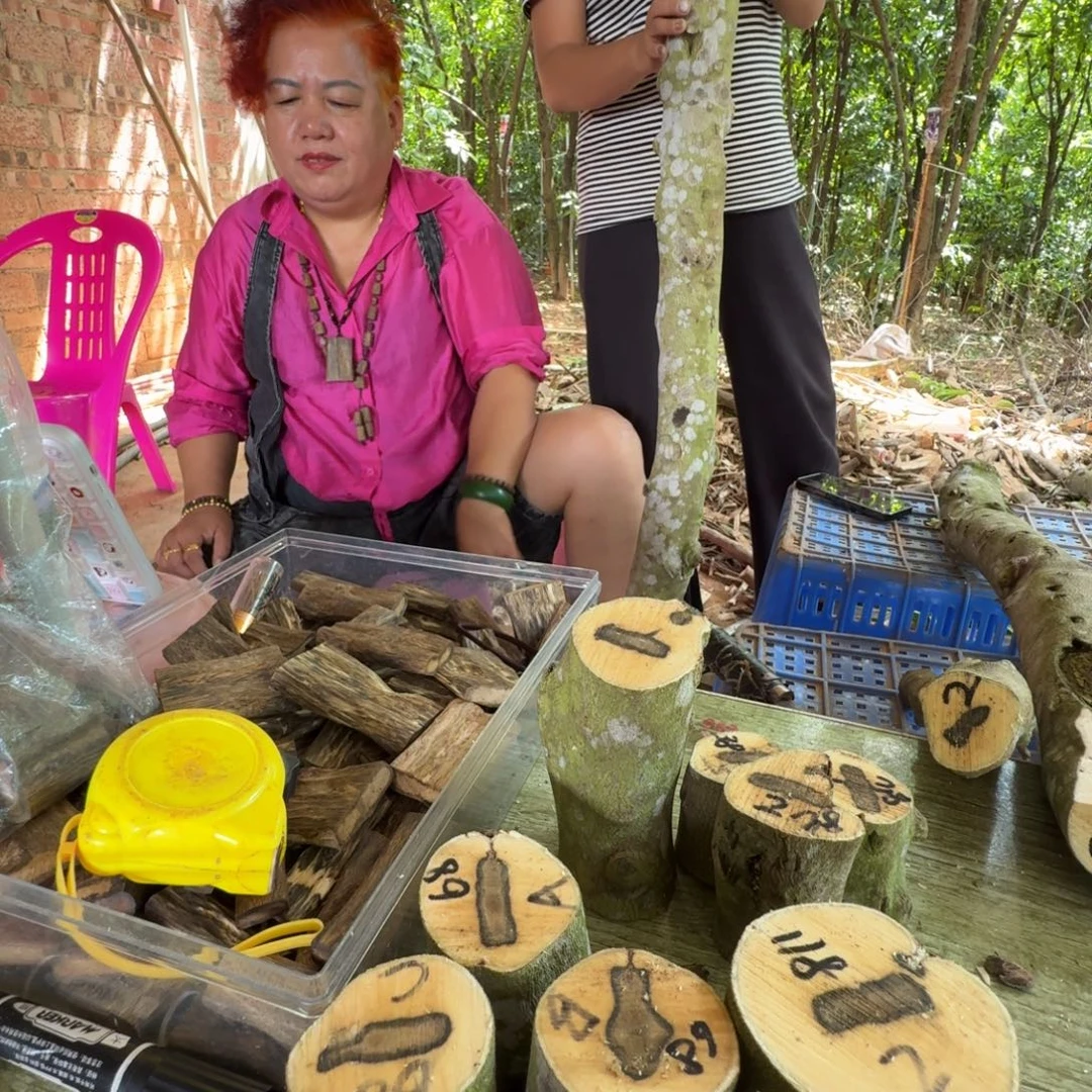 ，***线香奇楠沉香原木