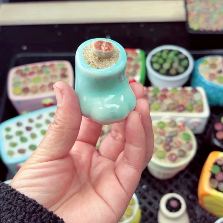 545零下地区记得拍保温箱满18包邮