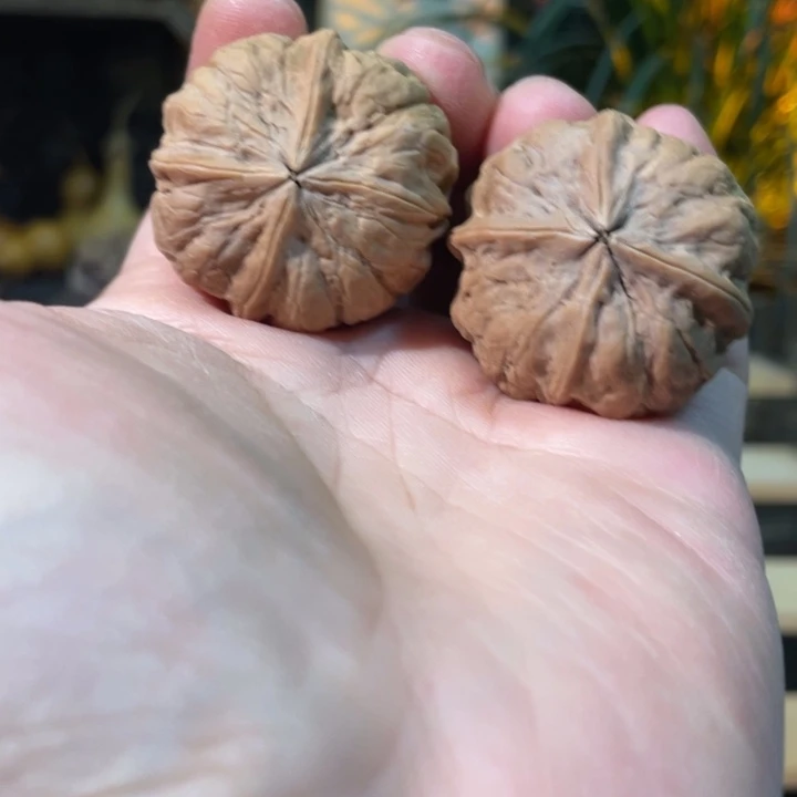 文玩核桃把件编号9