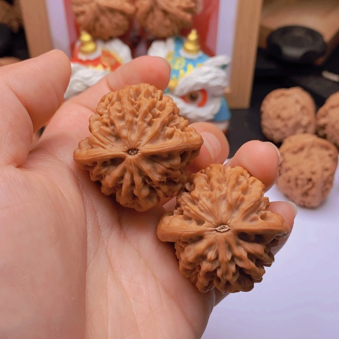 莫***循39尺精品陕西秦闷A481