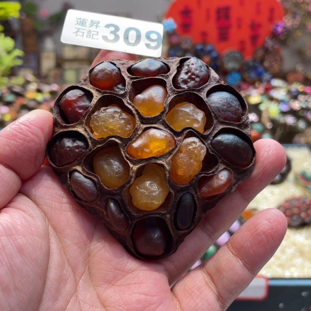核桃木/黑胡桃（胡桃木）文***。309