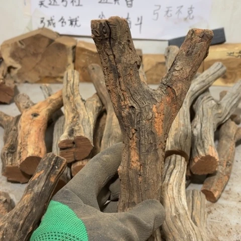 大果紫檀（缅甸花梨）闲*