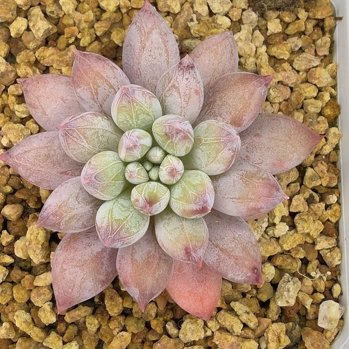 崔***鹏1111111111111111111111111111111