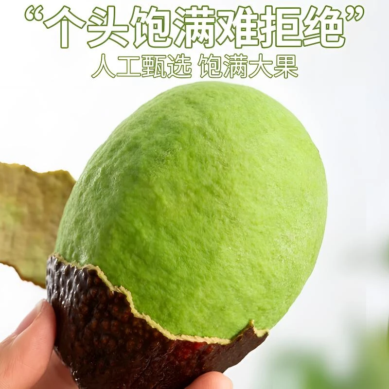 【吃货精选】 进口哈斯牛油果新鲜采速发货营养辅食健康宝宝必备