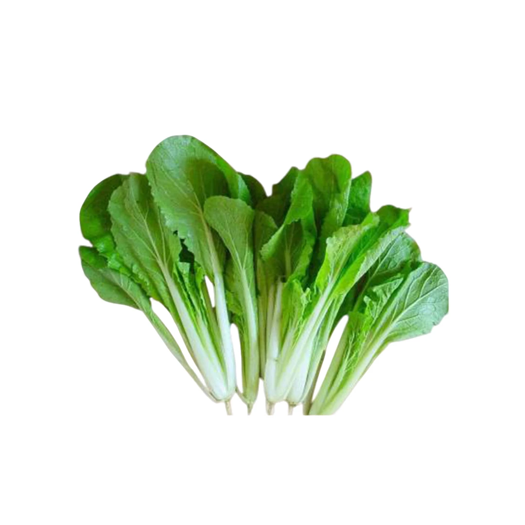 小白菜250g白菜