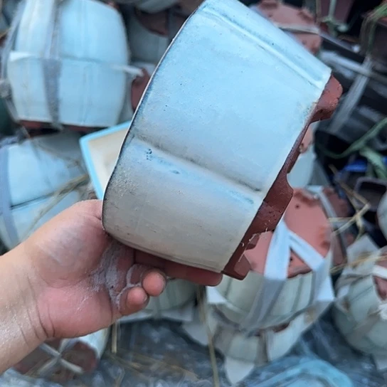 是一个集休闲农业的休闲胜地以及现代