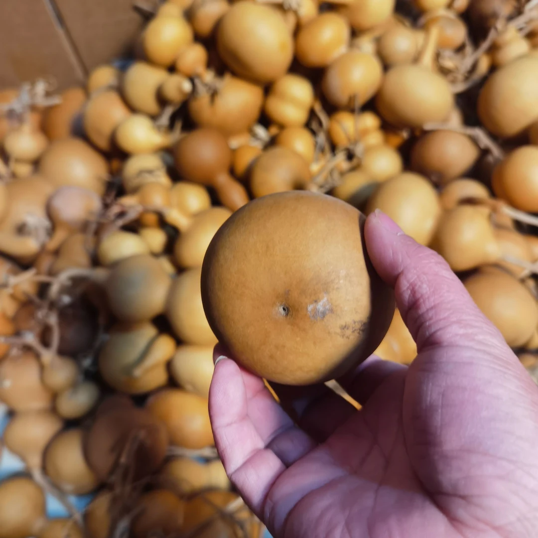 瑕疵葫芦无售后直播间链接