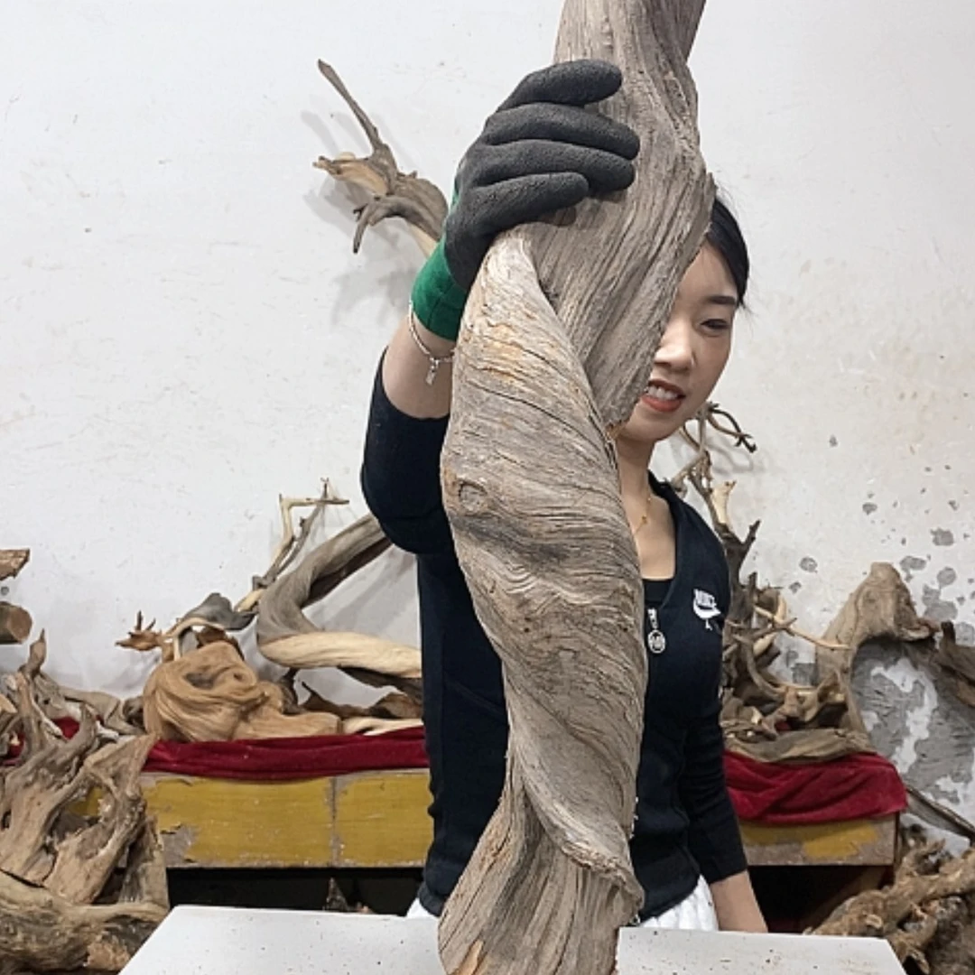 【闪购商品】柏木秋**雕我们都是好孩子