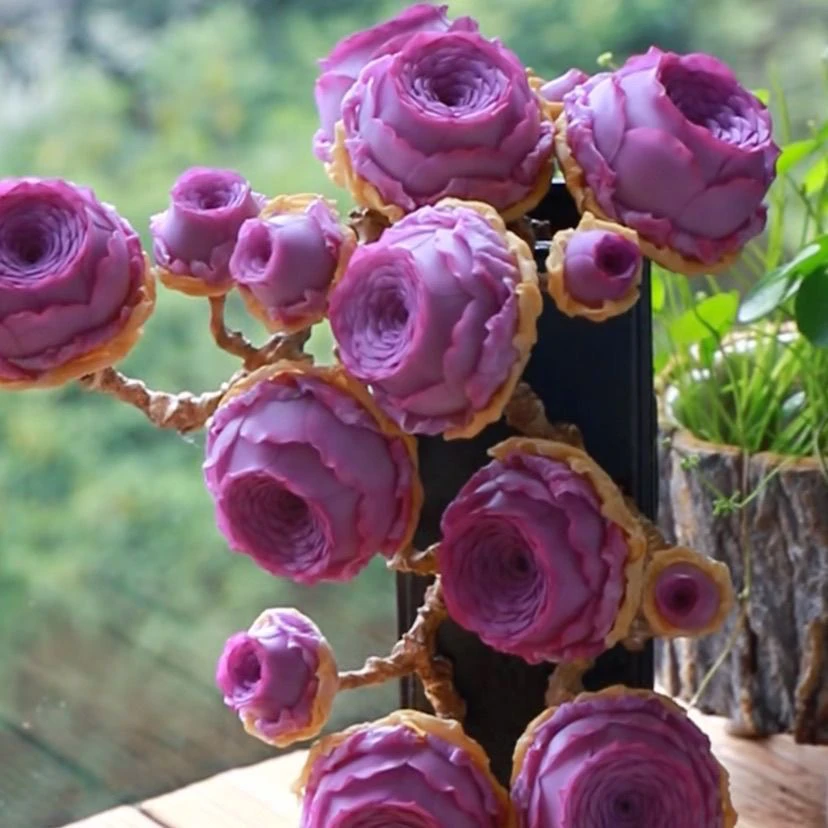 紫色风铃玫瑰群多头山地玫瑰多肉 绿色发货 《满15元包邮》