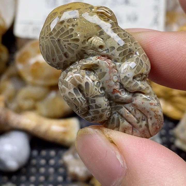 颈饰未镶嵌硅化珊瑚（珊瑚玉）