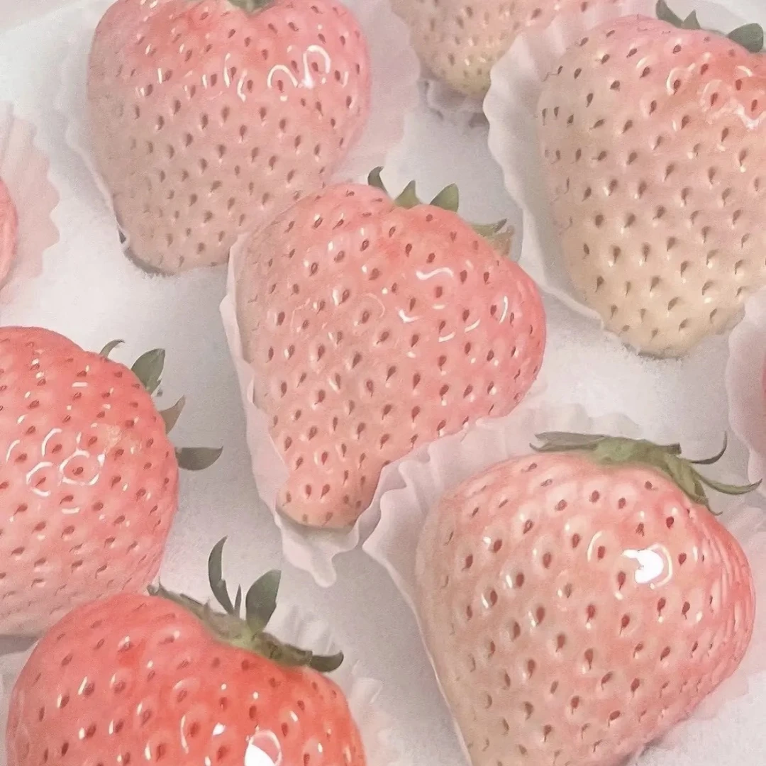 丹东【粉玉草莓】粉色妖姬草莓 香甜爆汁