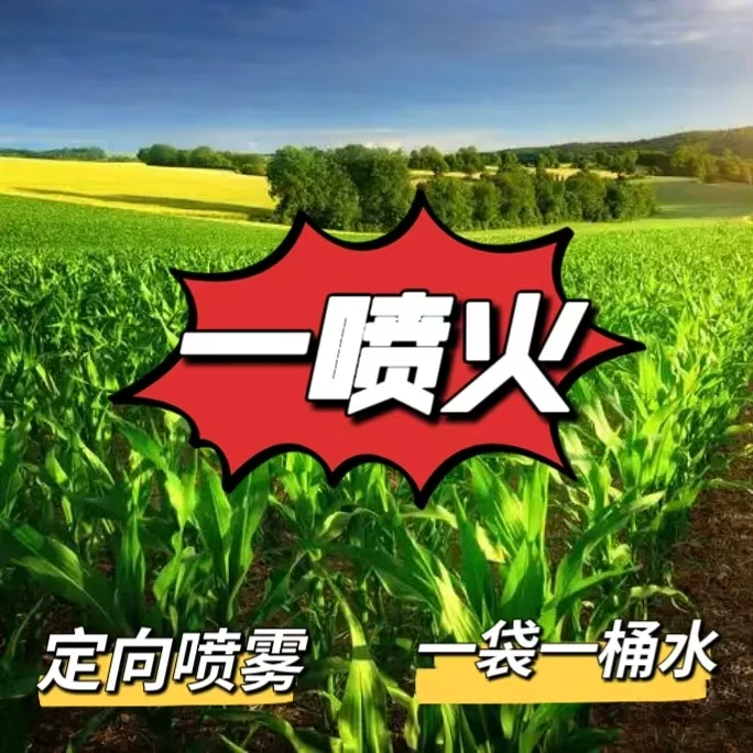 一喷火玉米田定向喷雾除草助剂