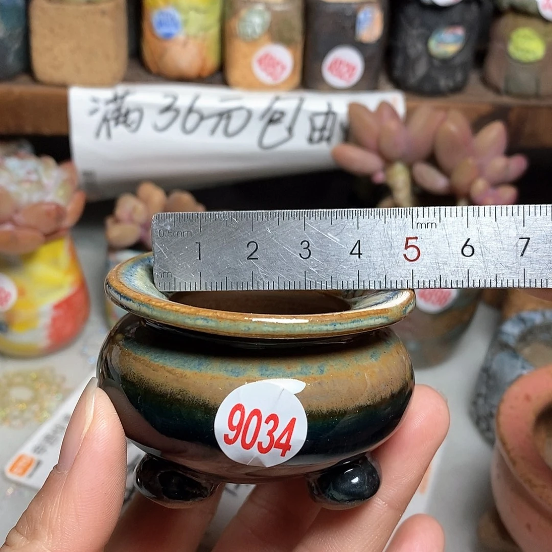红陶拍5送一个小