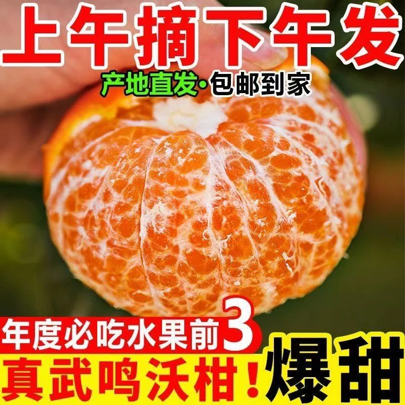 正宗广西武鸣沃柑桔子新鲜现摘沃柑桔子超甜现摘水果当季整箱包邮