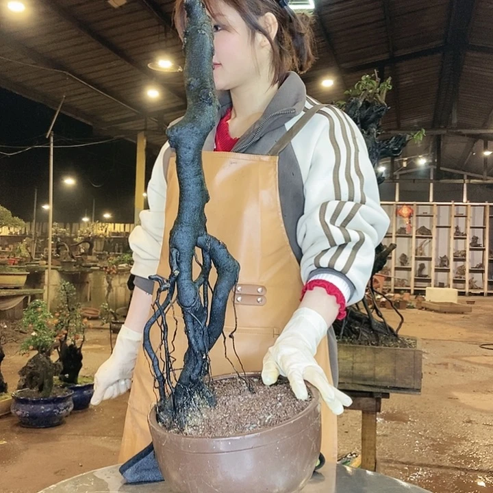 有什么事吗我在外面了我想