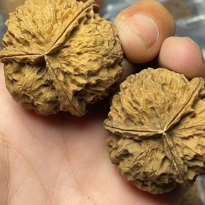 把件文玩核桃云南铁核桃53