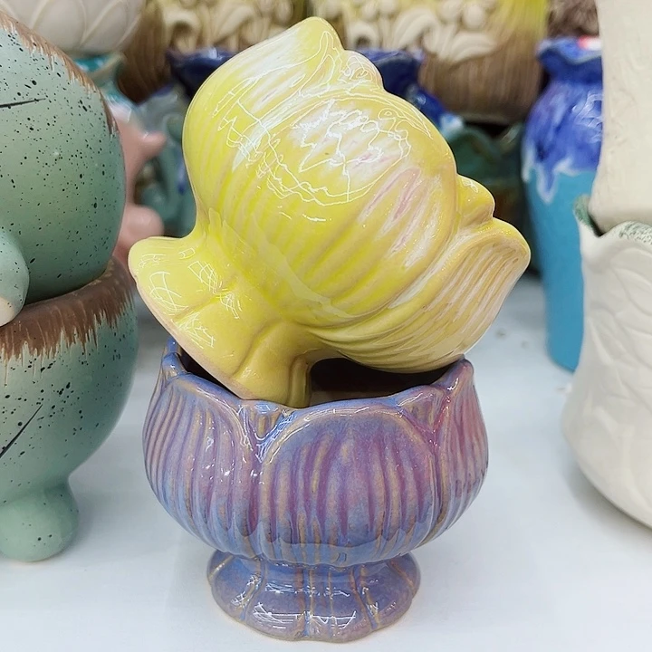 多肉植物陶瓷花盆