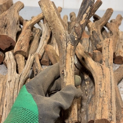 大果紫檀（缅甸花梨）?****?