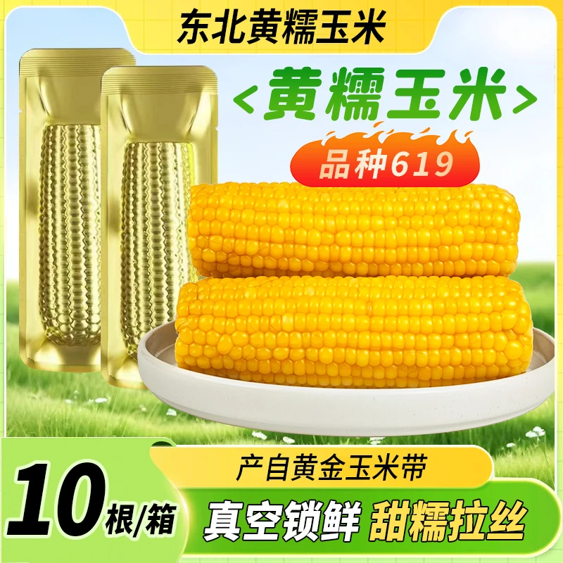 李小网【整箱10支 含试吃2支】东北黄糯玉米2025新玉米单只260g以上