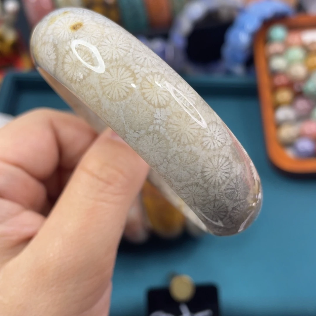 未镶嵌手镯硅化玉