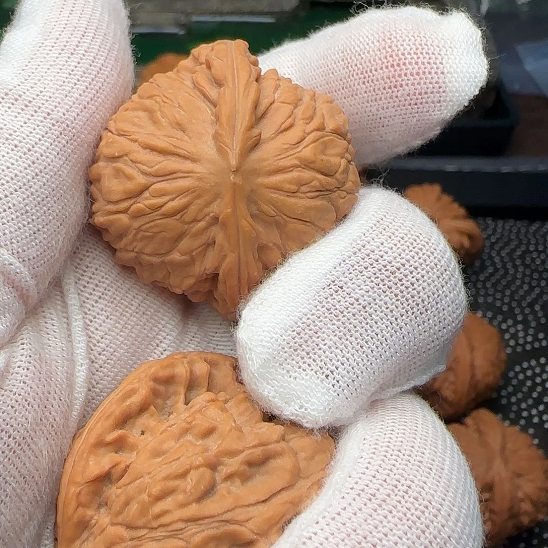 柏香籽/百香籽吊坠太行龙珠4-2582