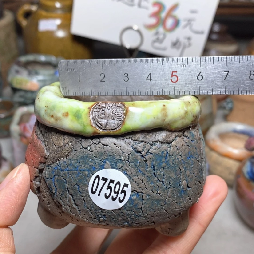 花盆拍3送一个小礼物