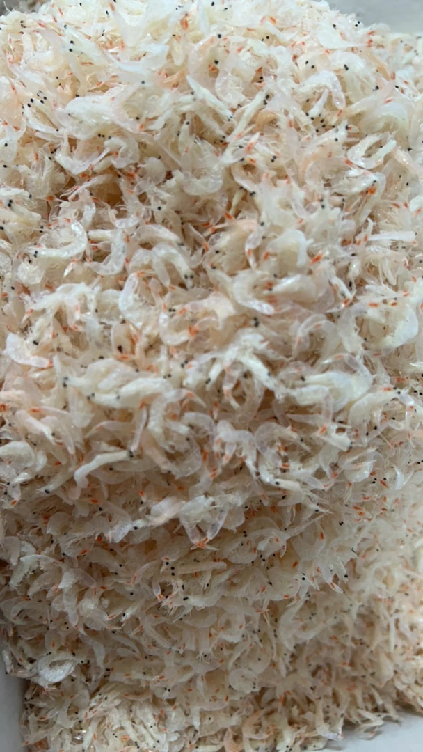 渤海湾无盐淡干虾皮，口感特别好