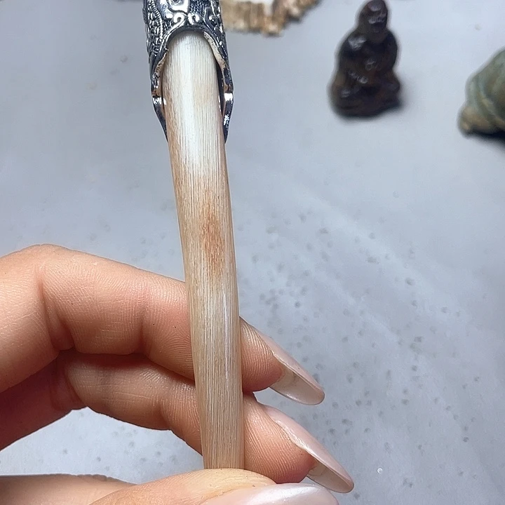 大果紫檀（缅甸花梨）