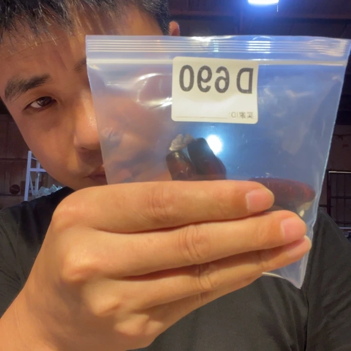 大叶紫檀（黑酸枝木类）690