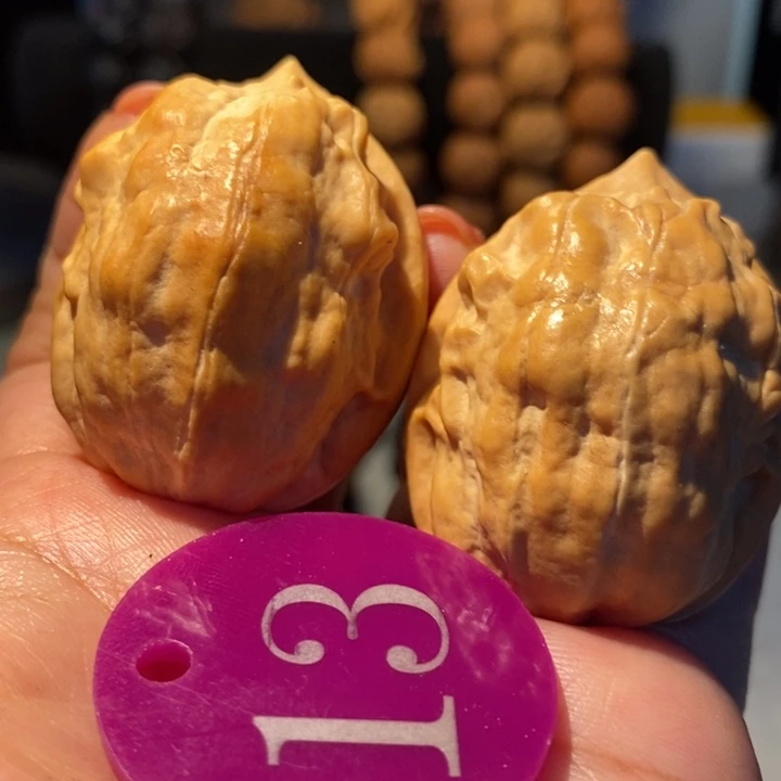 31号链接马头琴40尺寸，毕业对