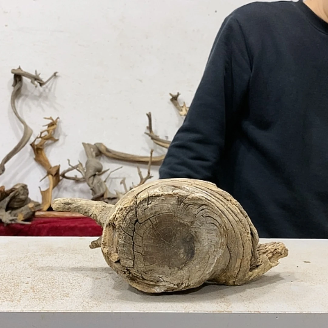 【闪购商品】柏木阿****8我们都是好孩子