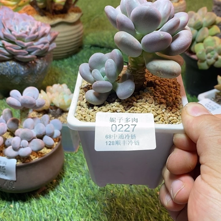 0227啊啊啊啊啊啊啊啊