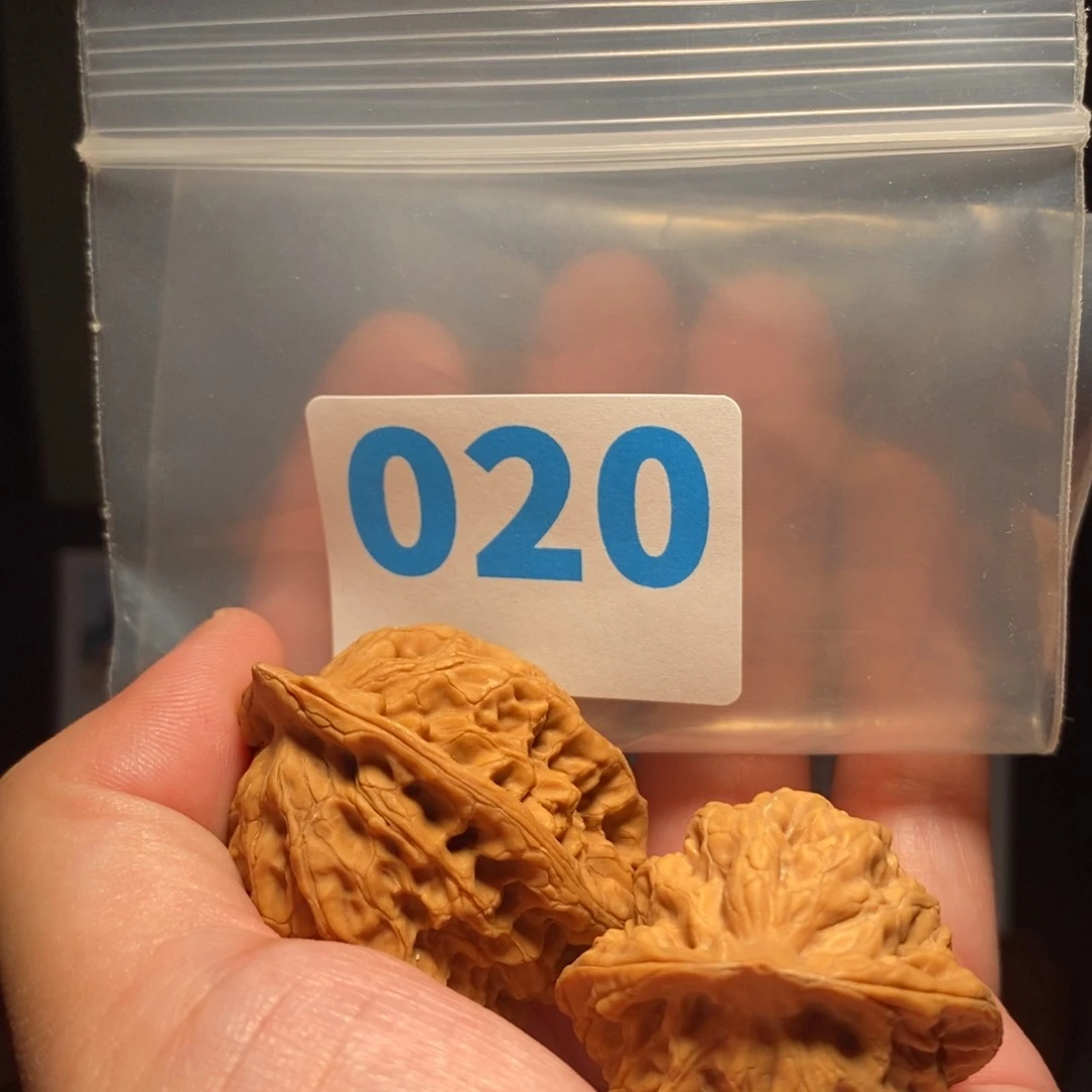 文玩核桃把件文玩核桃把件