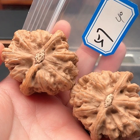 文玩核桃吊坠X****.粗筋