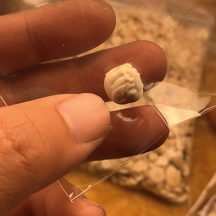 核桃木/黑胡桃（胡桃木）手串/手链