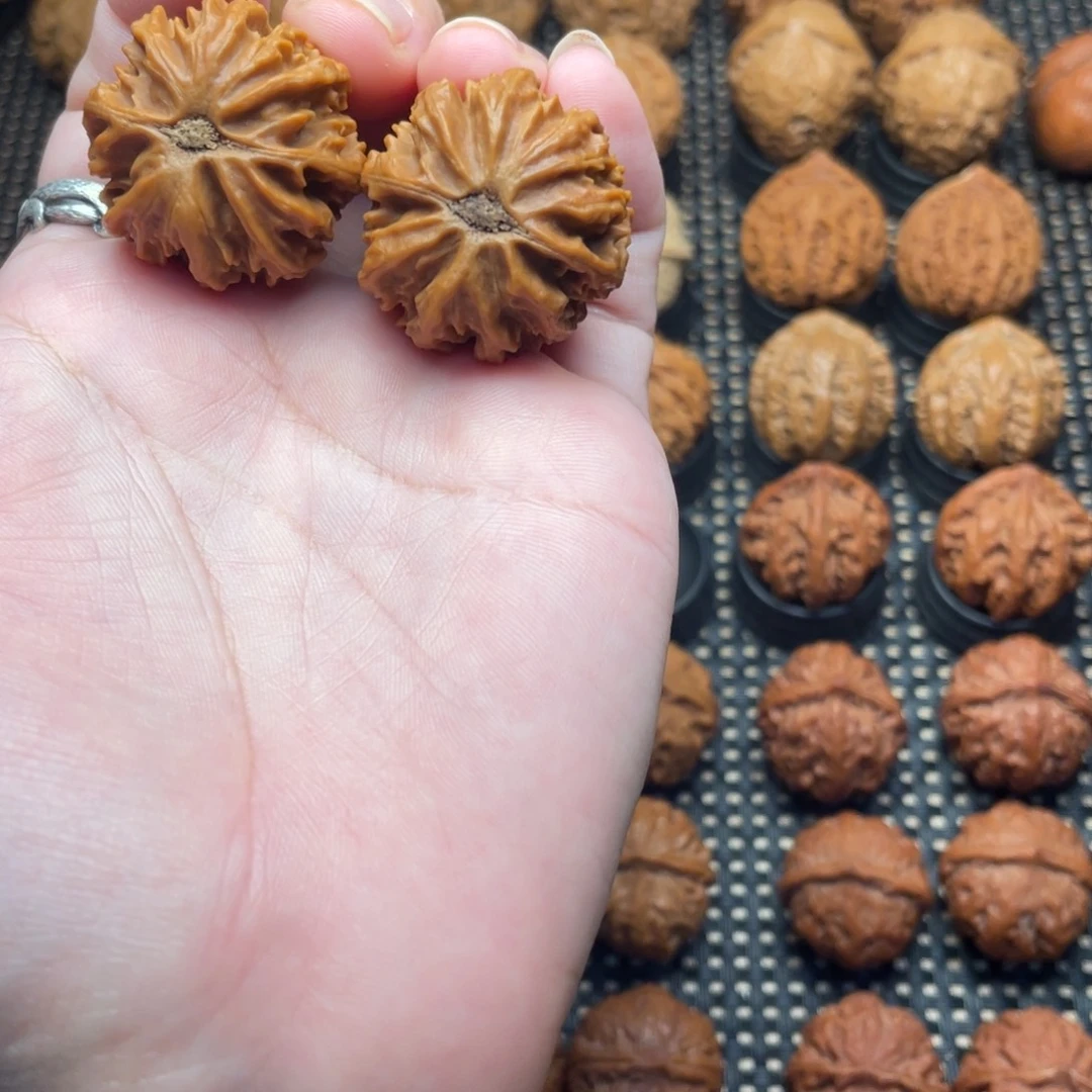 风***吹文玩把件花王龙脊