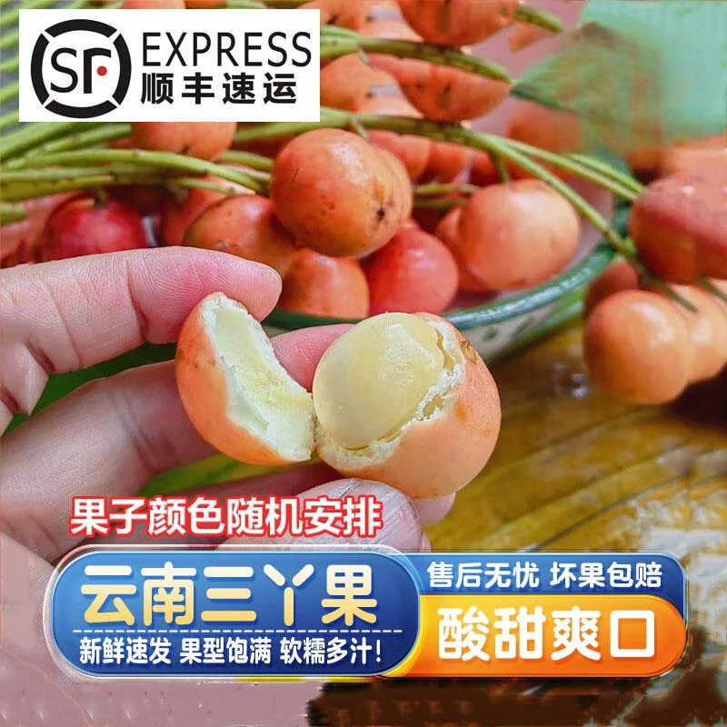 三丫果木奶果稀有罕见现摘当季酸甜水果云南野果非龙宫果顺丰包邮