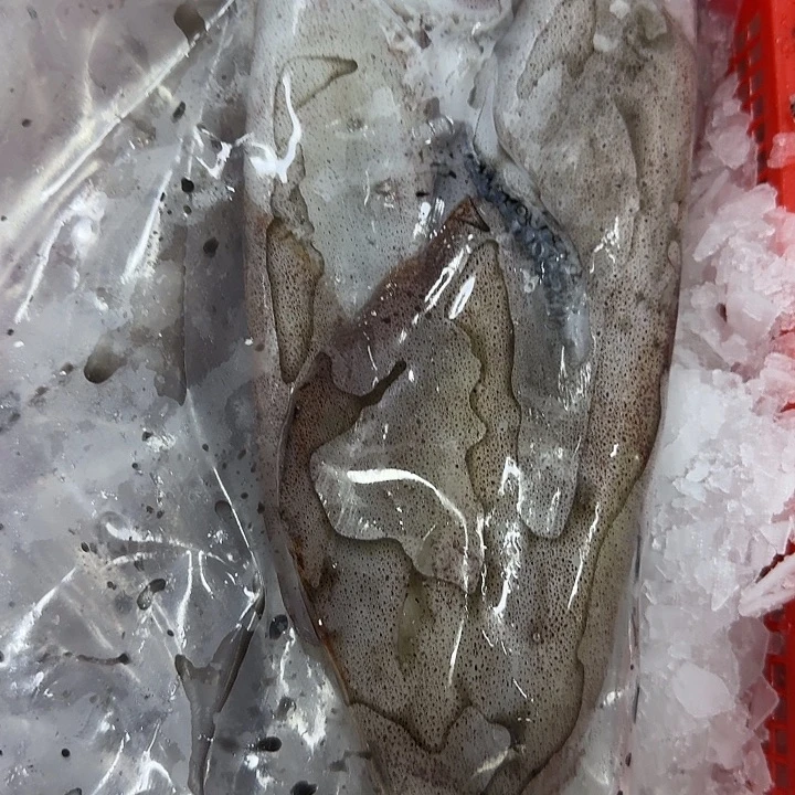 火箭鱿鱼3.5斤，闪购